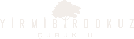 YirmibirDokuz Çubuklu