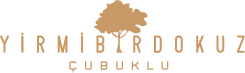 YirmibirDokuz Çubuklu